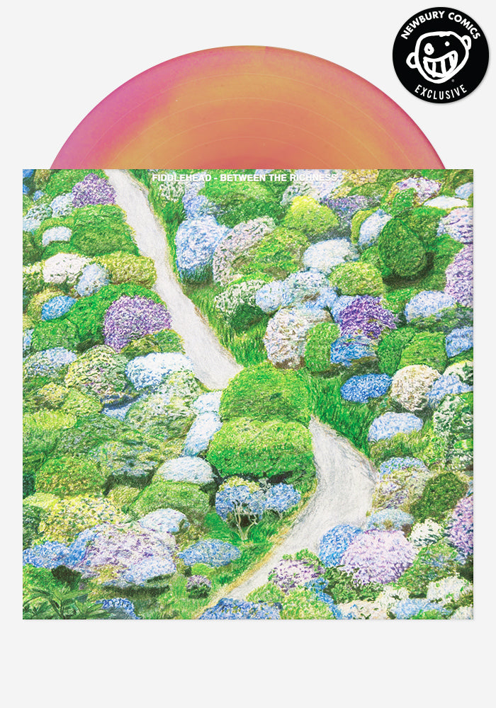 Fiddlehead-Between-the-Richness-Exclusive-Color-Vinyl-LP-2528186