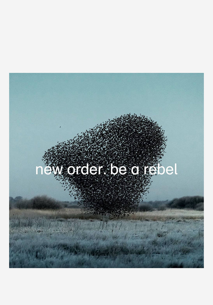 New_Order-Be_A_Rebel_12_Inch_Single-2505670