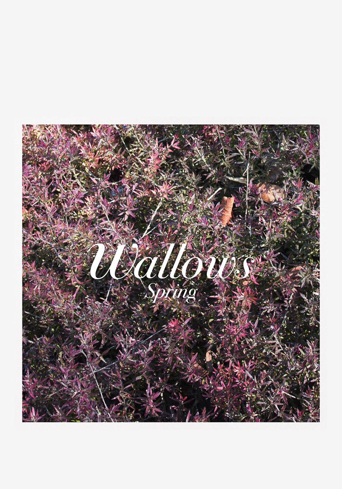 Wallows-Spring-Vinyl-Color-2x-12in-Single-2326697